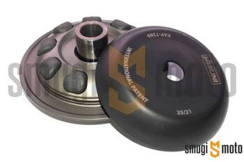 Wariator Yasuni Axial, Piaggio 300 4T (Quasar)