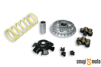 Wariator Malossi Multivar 2000, Aeon / Kymco 250-300 LC 4T