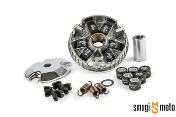 Wariator Polini Speed Control, Minarelli