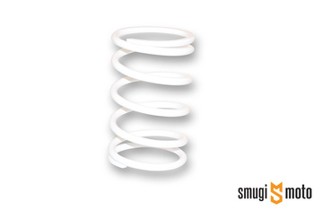 Sprężyna dociskowa Malossi, d.67,9x120mm, Kymco Xciting 400 '12-