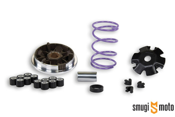 Wariator Malossi Multivar MHR, Gilera / Piaggio 50 (stary typ)